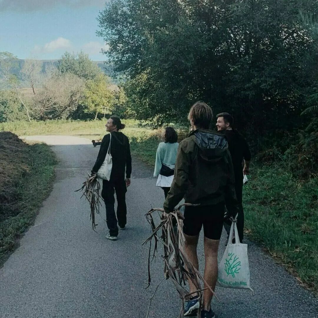 Catro persoas camiñando por unha estrada rural con feixes de tallos secos e unha bolsa de tea de Anceu Coliving