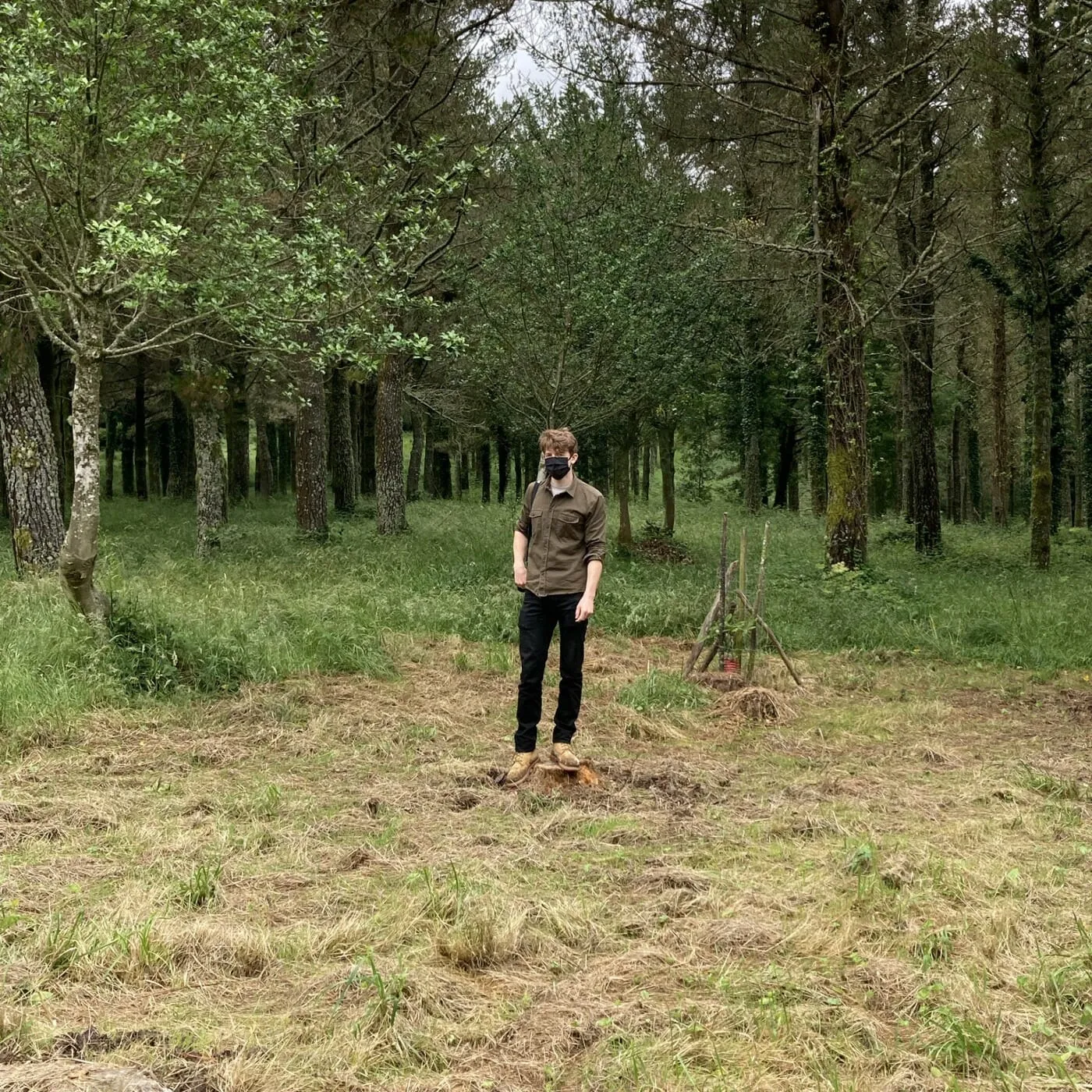 O evento «Da Foresta», organizado por WOW e Finsa, no bosque