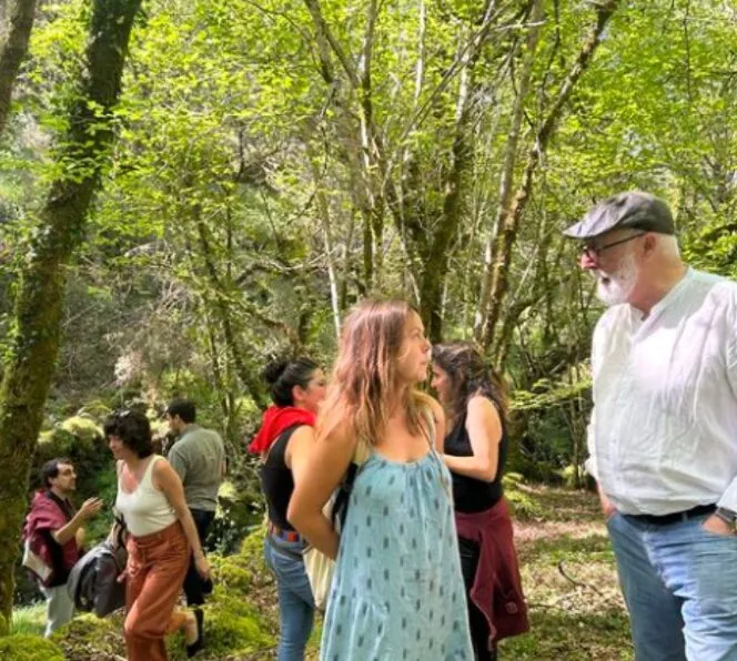 Un grupo caminando por un bosque de robles cubierto de musgo y bañado por el sol