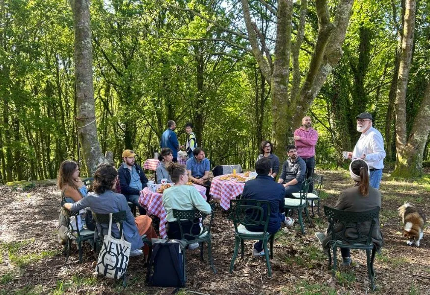 Personas sentadas en mesas con mantel de cuadros en un claro soleado entre árboles altos, con un perro pequeño cerca