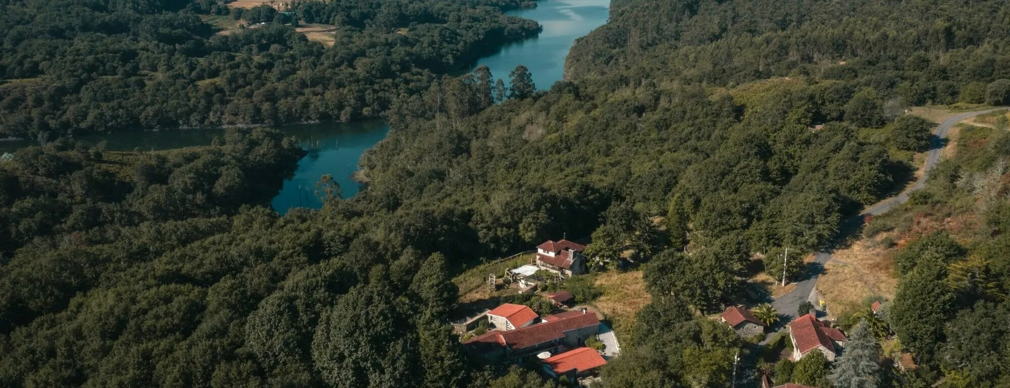 Un paxaro fotografado nos arredores de Anceu