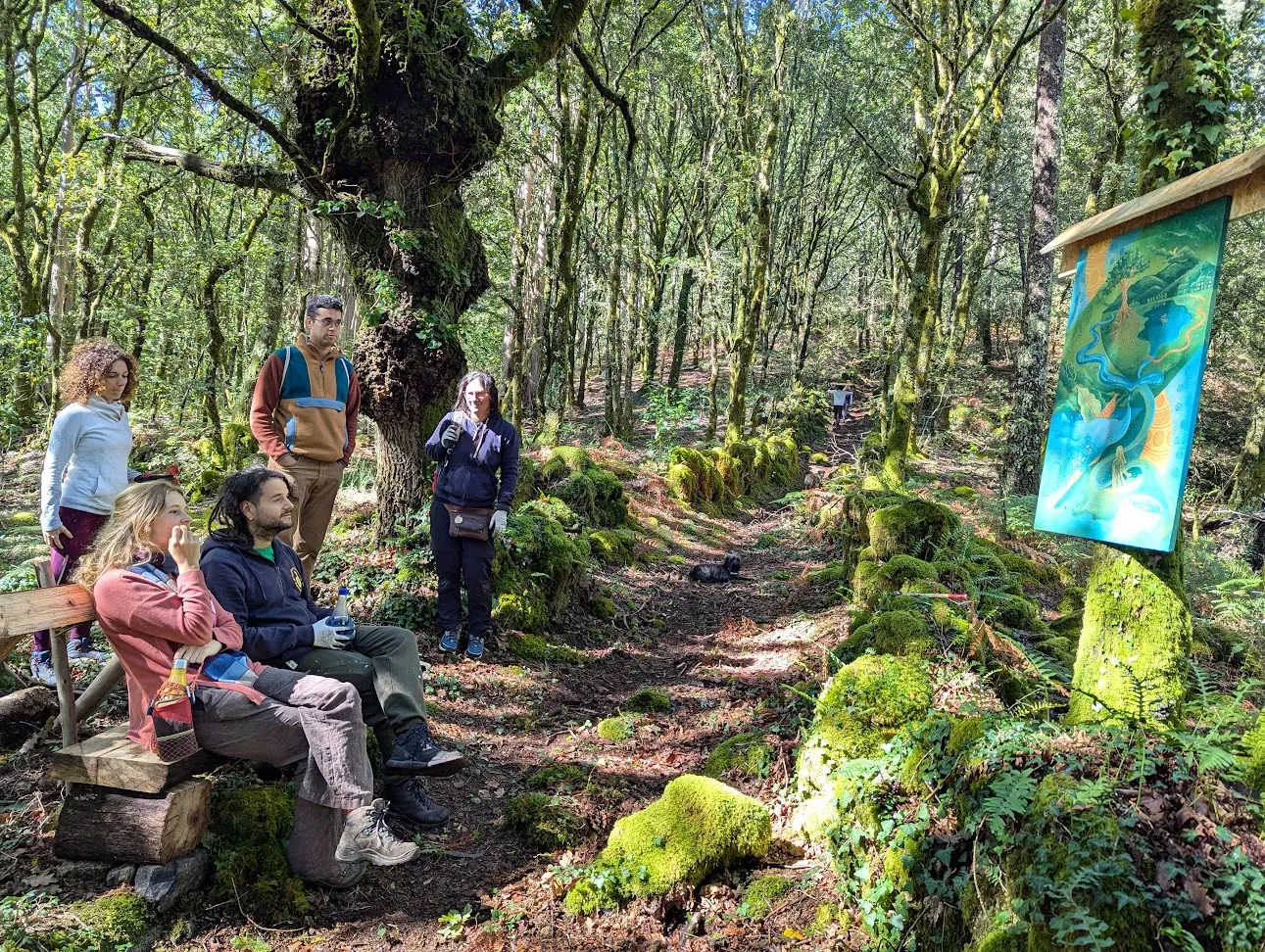 Varias persoas descansan nun banco xunto a un sendeiro de bosque cuberto de musgo, onde un cartel cun mapa ilustrado colga dun poste de madeira