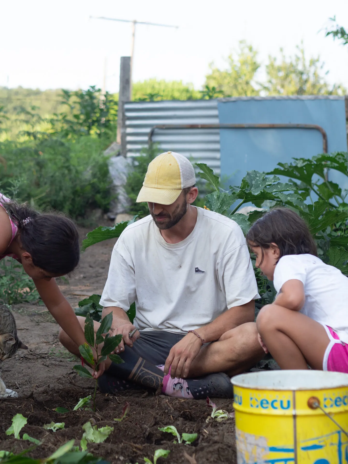 Víctor arrodillado en un huerto, plantando plantones con dos niñas junto a un cubo amarillo