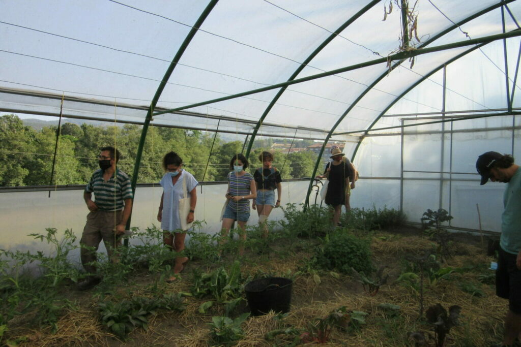 Colivers visiting NGO greenhouse