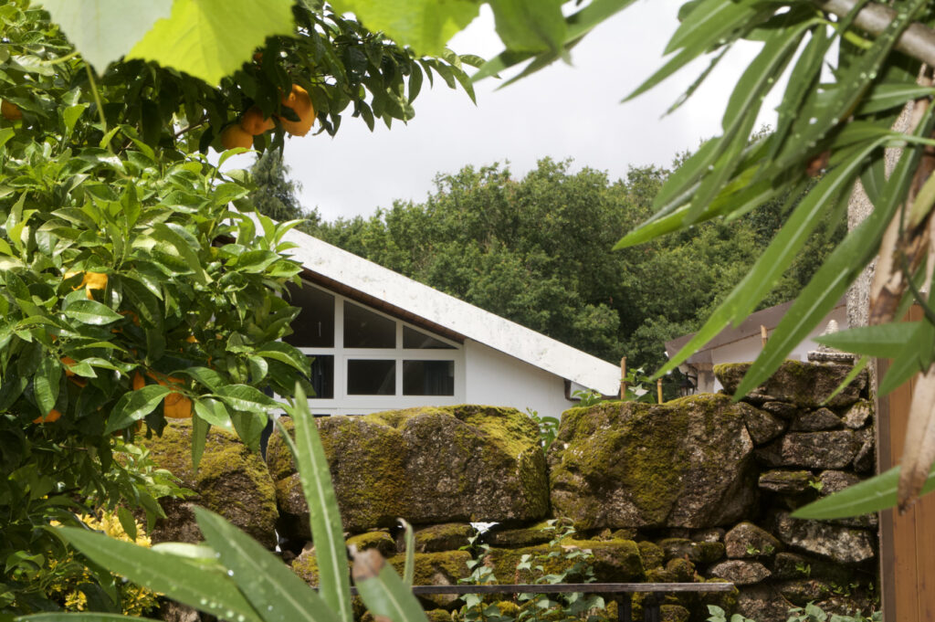 Beautiful corners of Anceu Coliving after rain